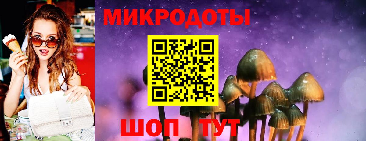 Альфа ПВП Шали