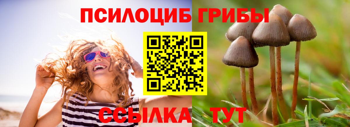 Галлюциногенные грибы GOLDEN TEACHER Шали